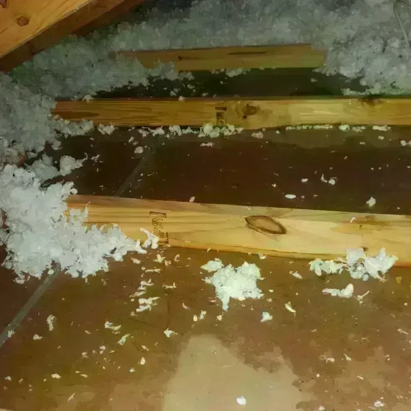 Attic Water Damage in Knox County, IN